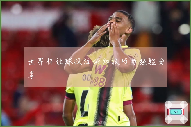 世界杯让球投注必知技巧与经验分享
