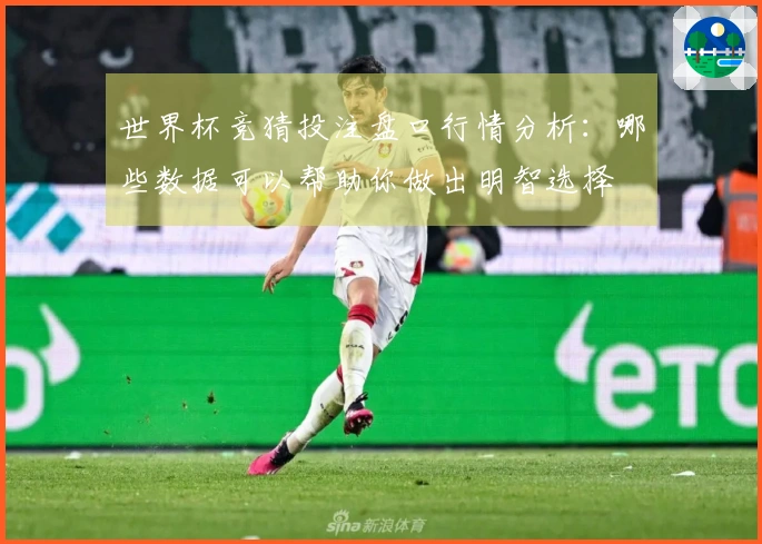 世界杯竞猜投注盘口行情分析：哪些数据可以帮助你做出明智选择