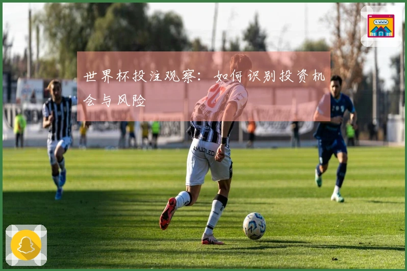 世界杯投注观察：如何识别投资机会与风险