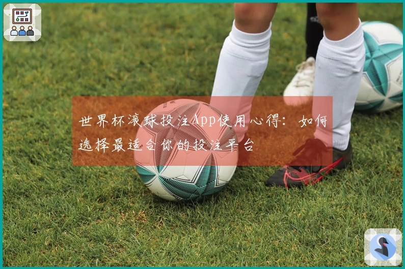 世界杯滚球投注App使用心得:如何选择最适合你的投注平台