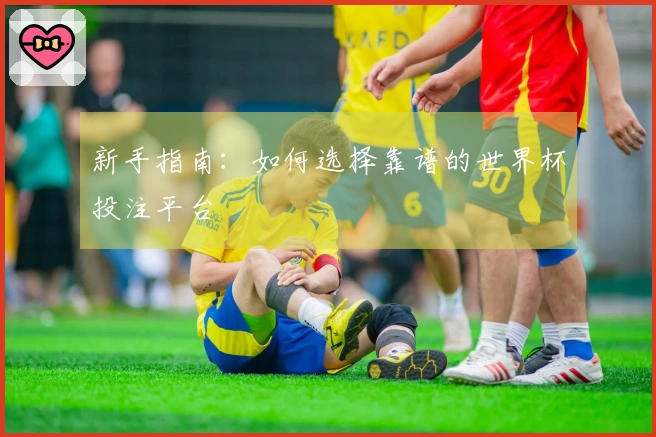 新手指南：如何选择靠谱的世界杯投注平台