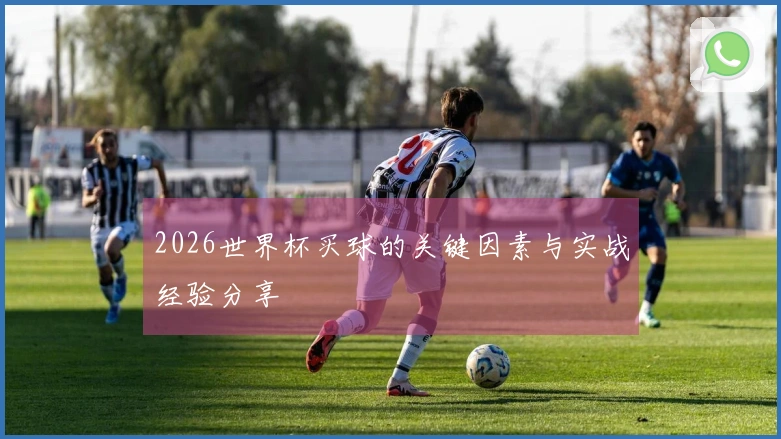 2026世界杯买球的关键因素与实战经验分享