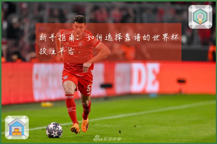 新手指南：如何选择靠谱的世界杯投注平台