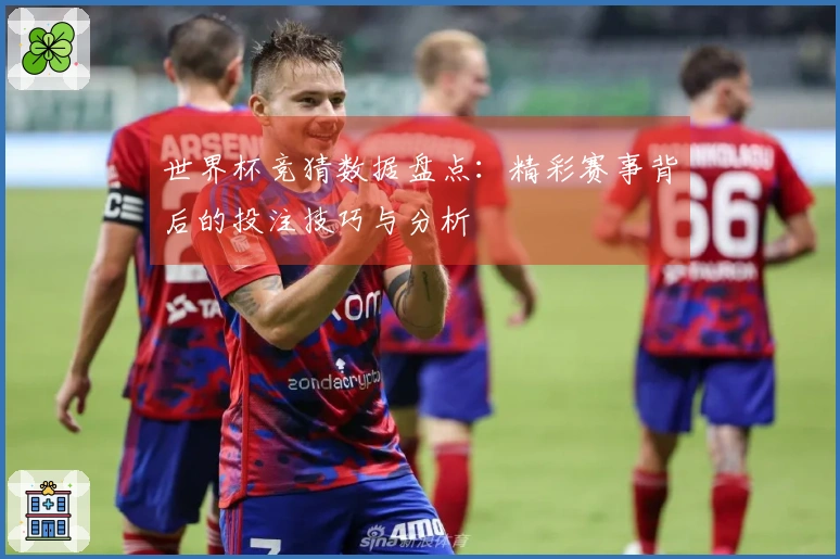 世界杯竞猜数据盘点：精彩赛事背后的投注技巧与分析