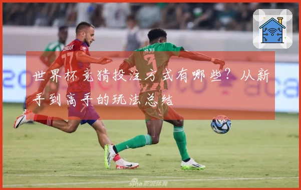 世界杯竞猜投注方式有哪些？从新手到高手的玩法总结