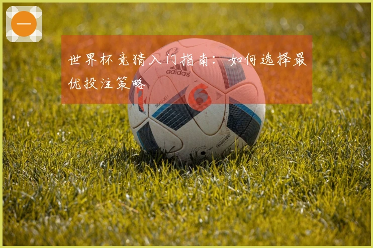 世界杯竞猜入门指南：如何选择最优投注策略