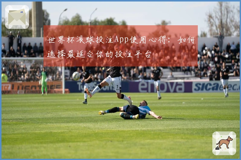 世界杯滚球投注App使用心得：如何选择最适合你的投注平台
