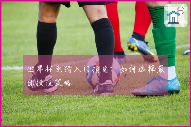 世界杯竞猜入门指南：如何选择最优投注策略