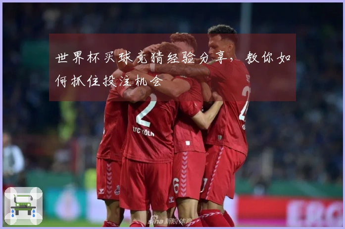 世界杯买球竞猜经验分享，教你如何抓住投注机会